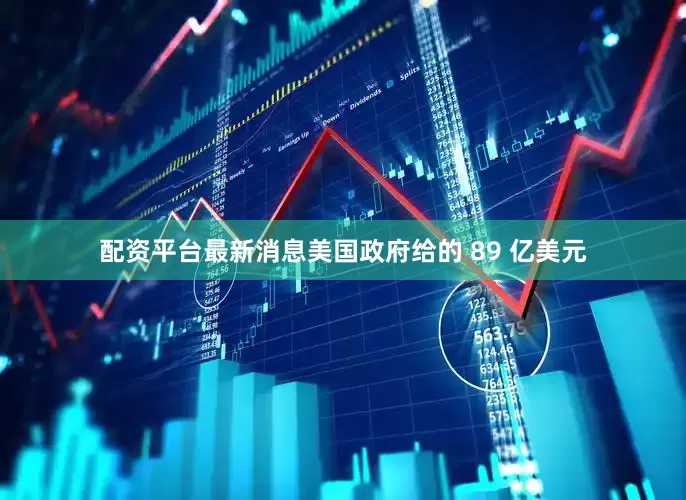 配资平台最新消息美国政府给的 89 亿美元