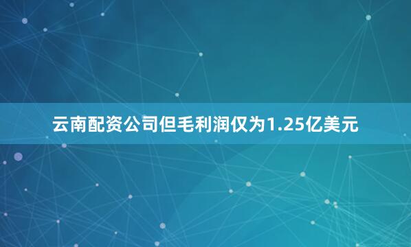 云南配资公司但毛利润仅为1.25亿美元