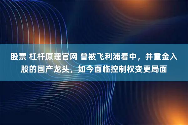股票 杠杆原理官网 曾被飞利浦看中,并重金入股的国产龙头,如今面临控制权变更局面